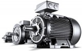 Electric motors 1LE1